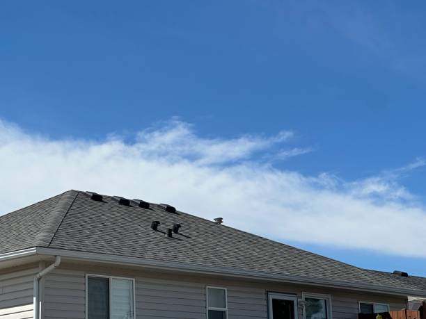 Best Roof Insulation Installation  in Madisonville, TX